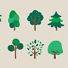 APPROVED TREE/PLANT LIST